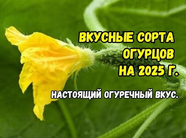 -3  ,    :     