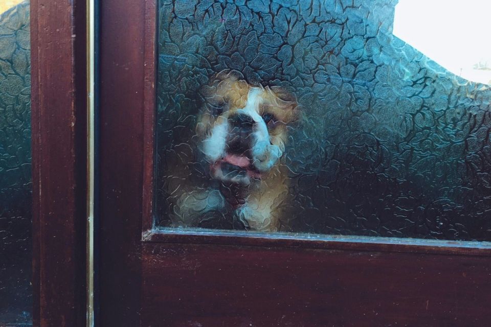    :       