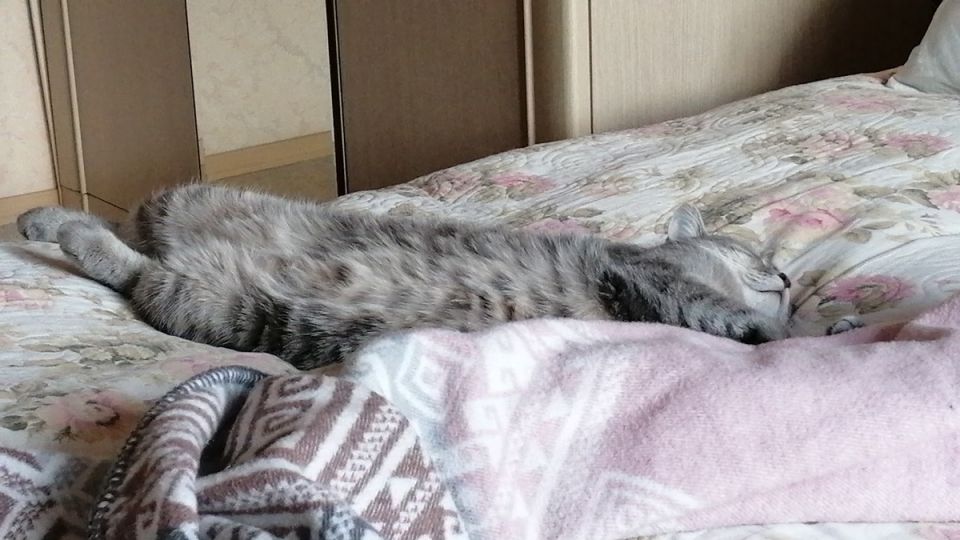   : ,     