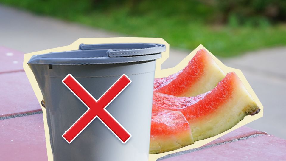 Не выкидывайте арбузные корки: японцы берегут этот отход как зеницу ока