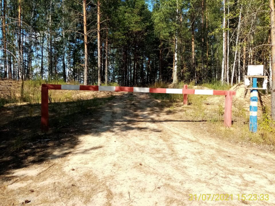 Клюквенные приключения: где и как собирать ягоды в Нижегородской области