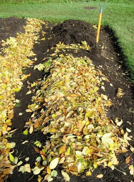 Тайны рыхлой почвы: как всего за два дня подготовить огород к весне