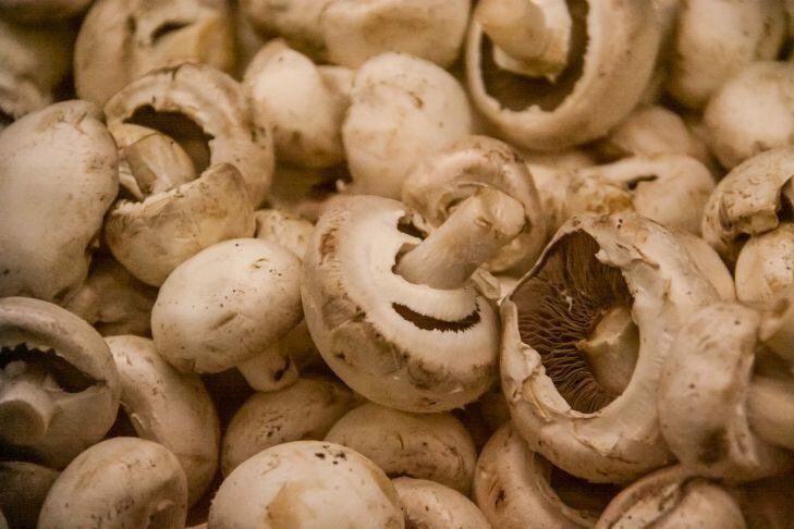 В чем замариновать грибы, чтобы они приобрели карамельный оттенок и неповторимый аромат: будете готовить только так