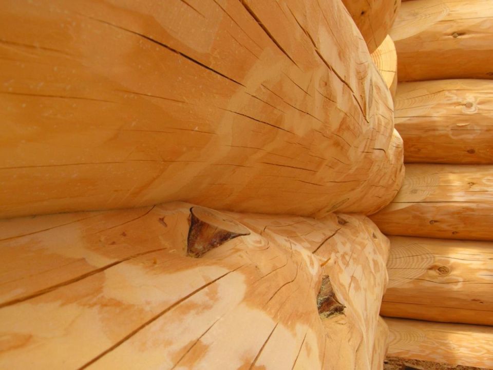 Твёрдость древесины: что стоит за титулом самой прочной породы