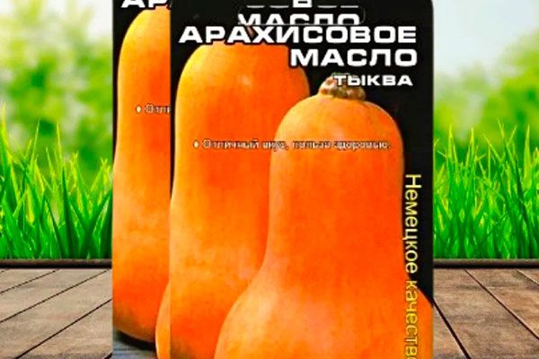 Погружаемся в мир тыквы Арахисовое масло: секреты вкуса и выращивания