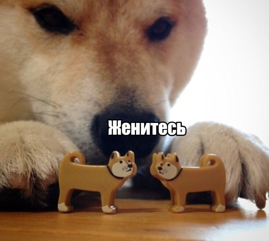 Новый реестр холостяков в России: поддержка демографии или нарушение личных прав?