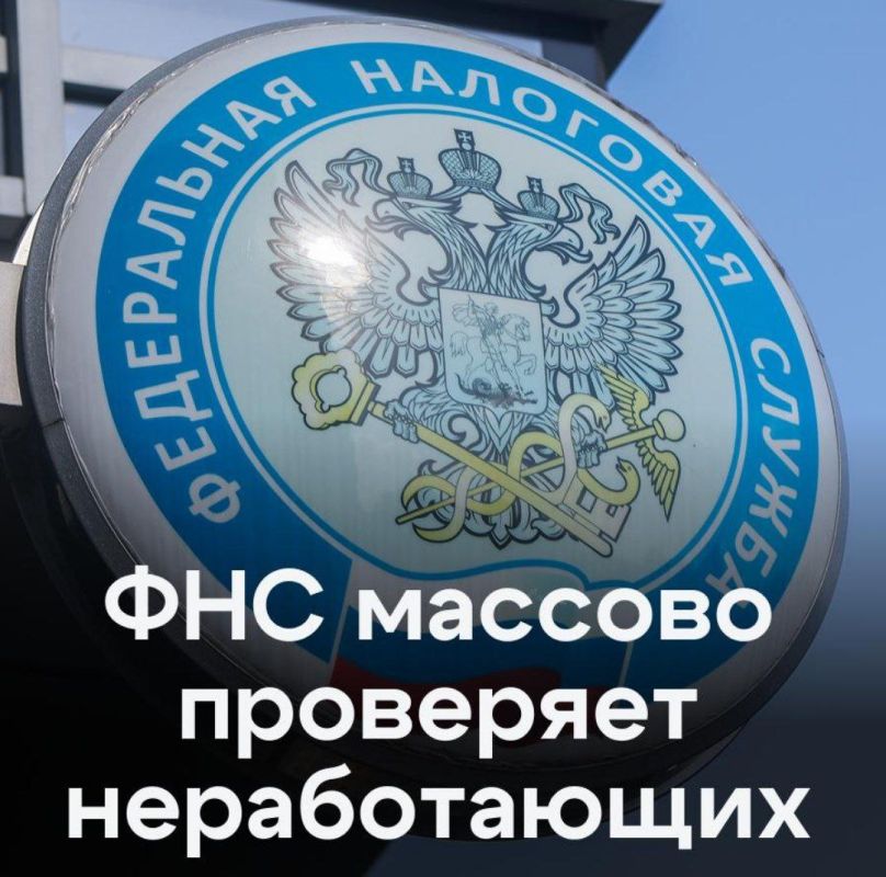 Почему ФНС взялась за тех, кто живет на легке: откуда у вас деньги?