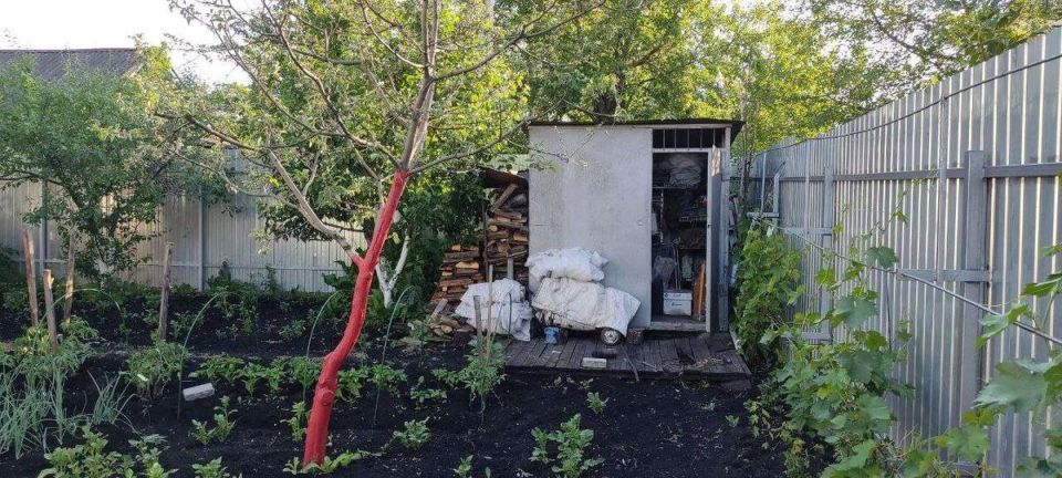 Новые правила садоводства: Госдума обновила нормы для дачников