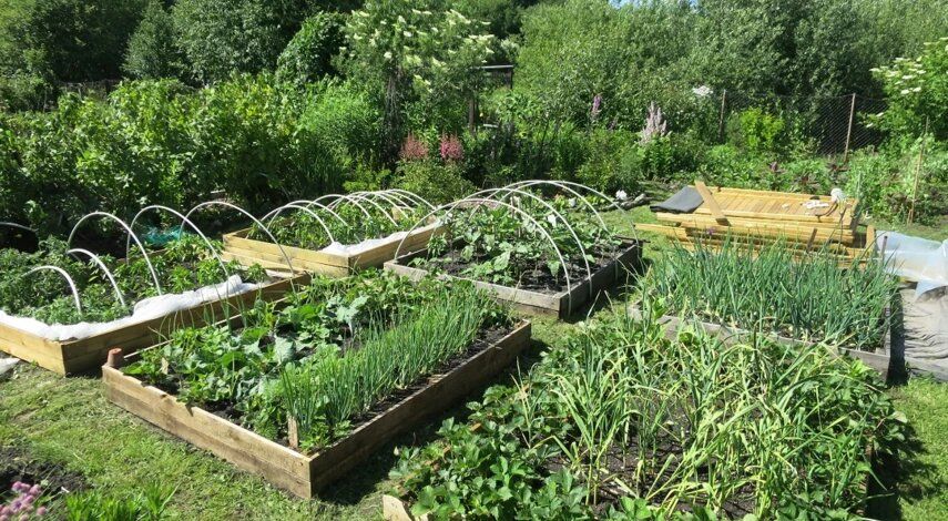 ������ ���������: ��������� ������ ����� ���������� ������� �������