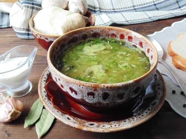 �������� �� �� ��������: ���������� �� ��� ���������