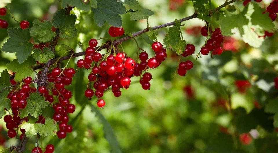 ����� � �����: ��������� �� �� ���� ����� �� ������?