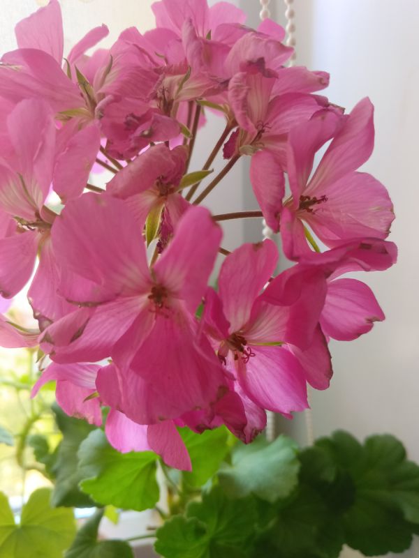 ��� ��������� ������� ����� ��� ������: ������ ��� ������ ��������