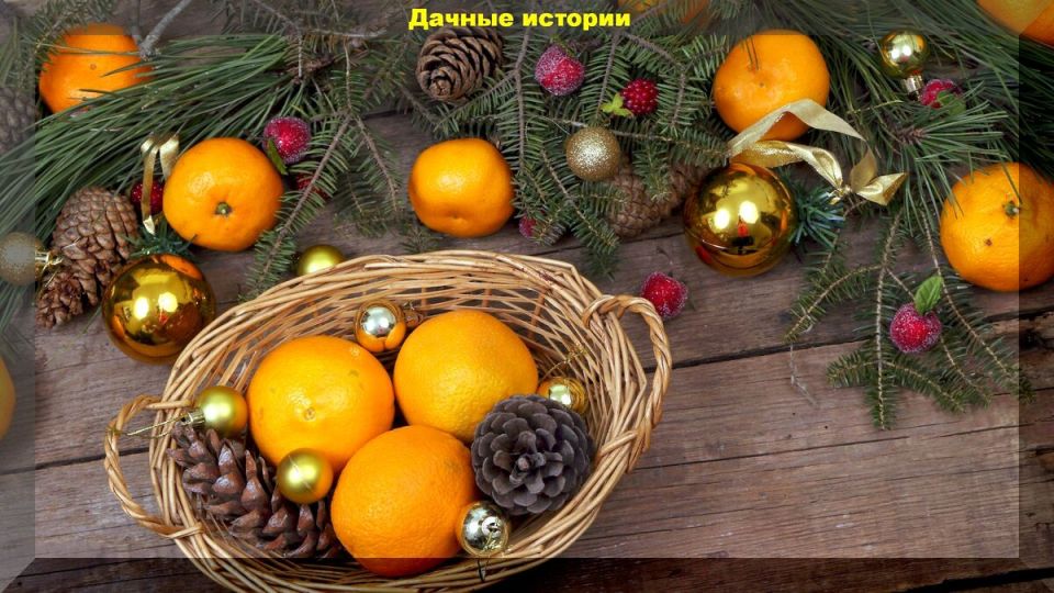 ��� ������������ ������ ����� ������ ��� ���: ������������ ������� ����������