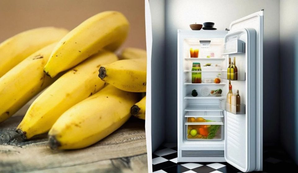 ��� ��������� ������ �������: ����������� ����������� �����