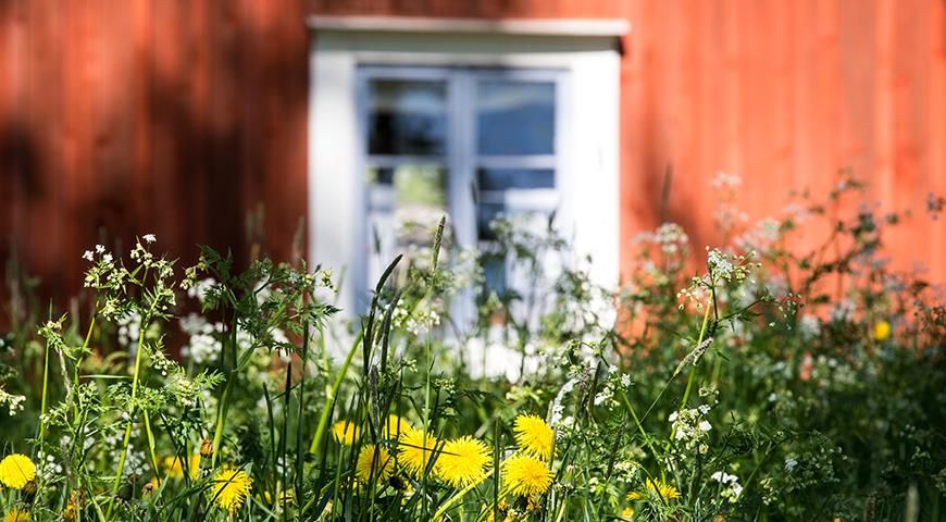 ������ �� ����������: ��� ���� ���������� ������� �����?