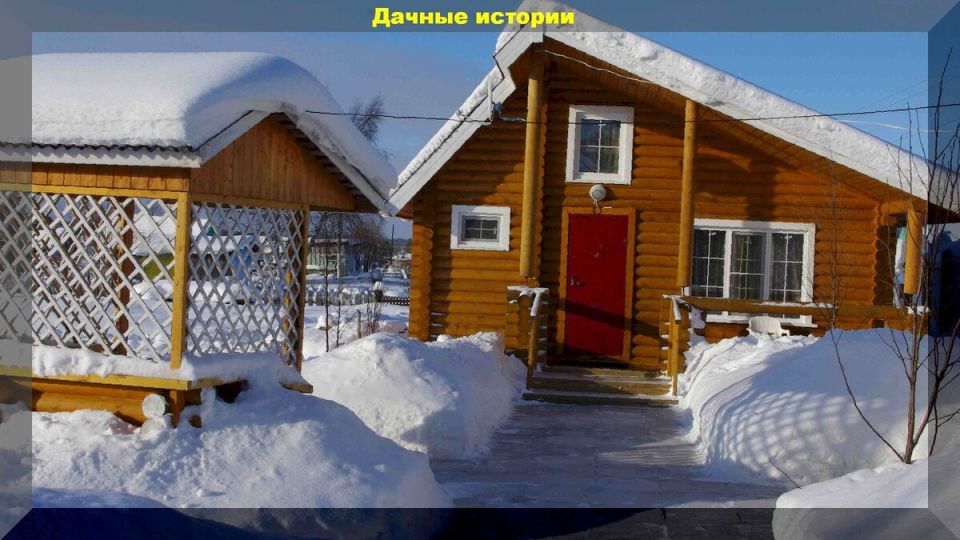 Зимние хлопоты дачников: Как сохранить сад в зимних условиях