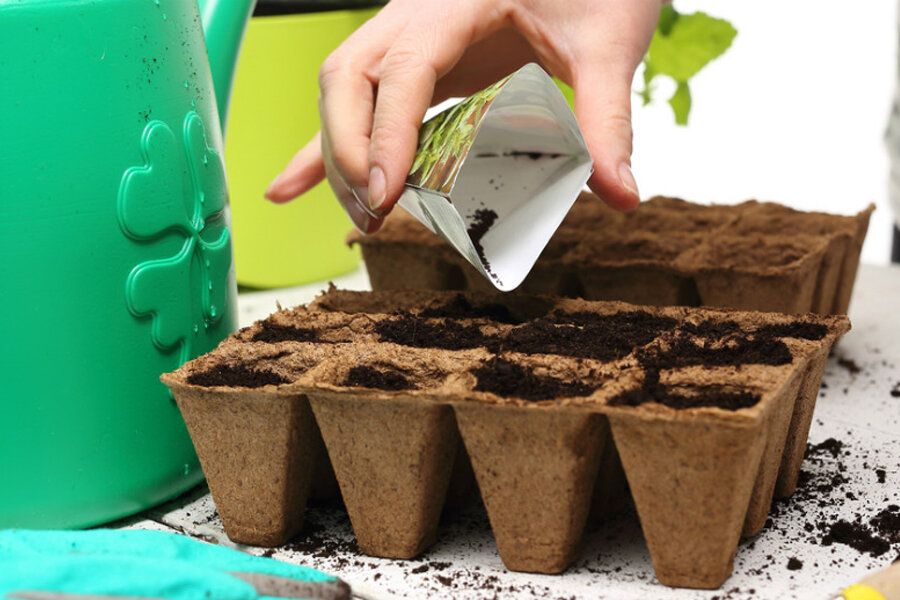 ��� ������ � ������: ������� ��� �������� ���������