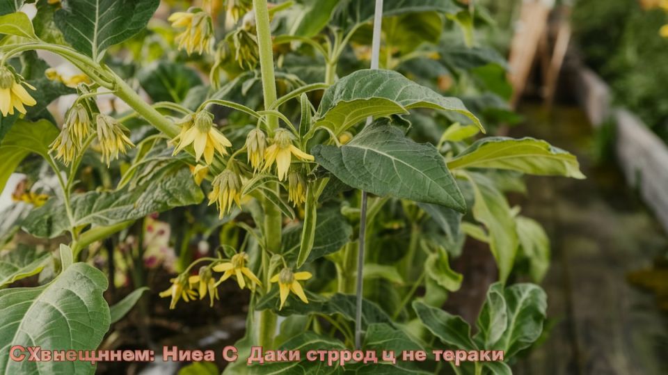 ������� ������ � ����������: ��� �������� ������ ��������� � 2026 ����