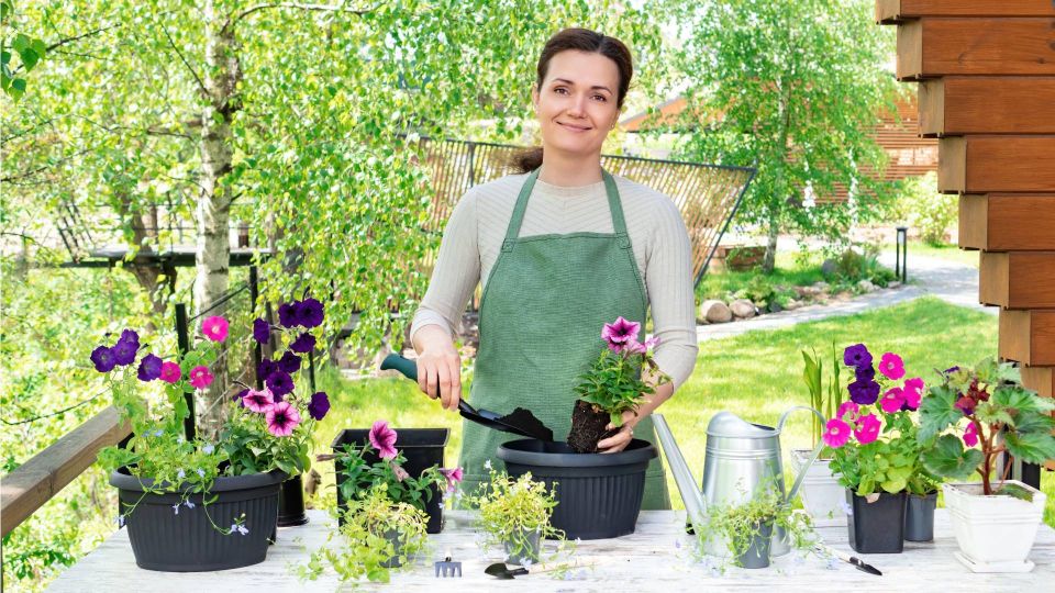 ��� ������ �� ������ ����� � ����������� � ��������� �����: ��� ������ ������ ������