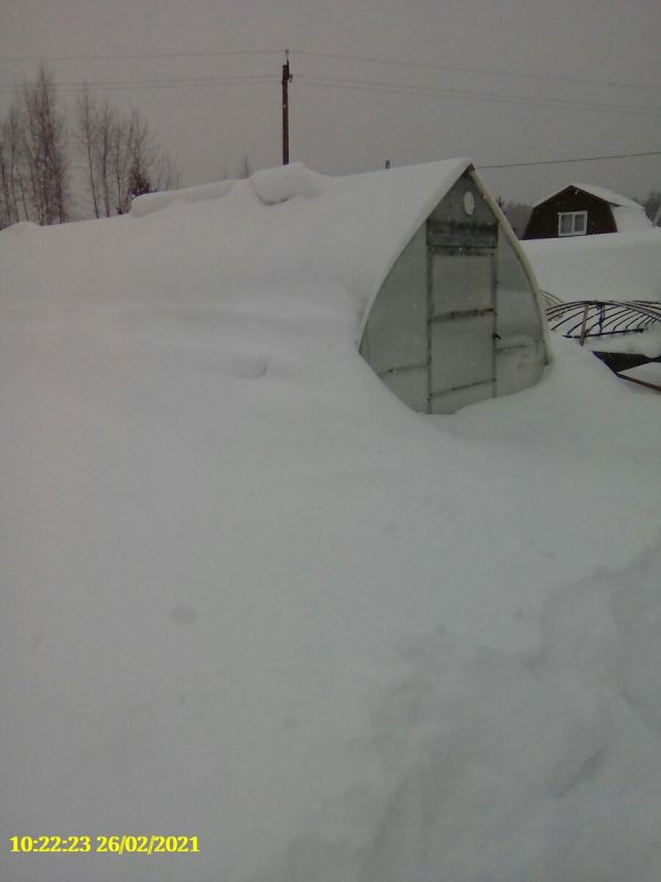 ��� ������ � �������� �� ����: ��������� ��� ���������?