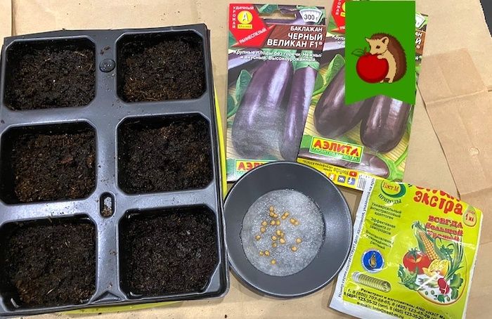 Отмечаем благоприятные дни для садовых работ в январе 2026