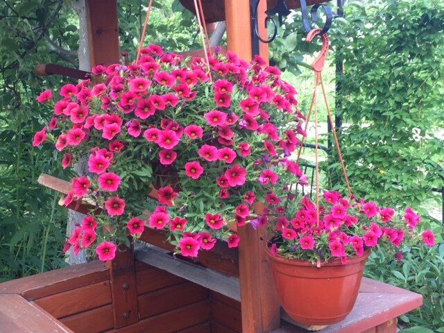 ��� ���������� �������� ������ ���: ������� ��������� ������������