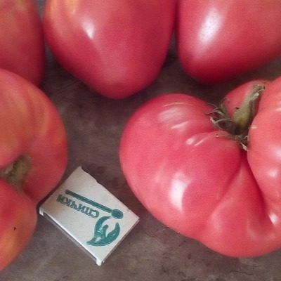 ����� ������: ������������ �������� � ������������ ����� ��� ������ �����