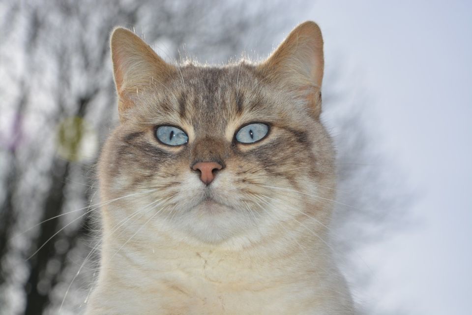 �������� �������� ��� �������� ������: ������� ����� �����!