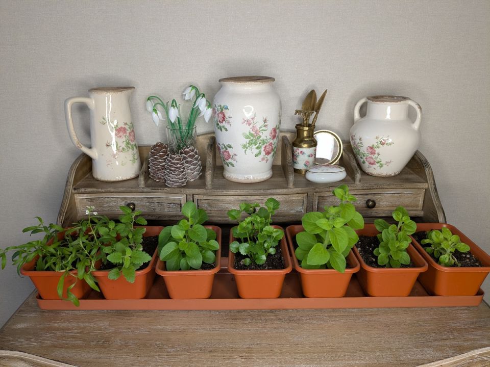 ������ ���������� ��������: ��� ��������� ������� ��������