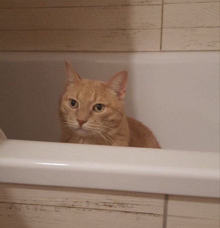 ��� ����� ���� ���������� �������� ����������� � �����