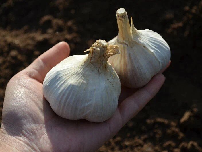 ��� ����������� ����� ��� ������ ������ ����� ��������� ������� �������