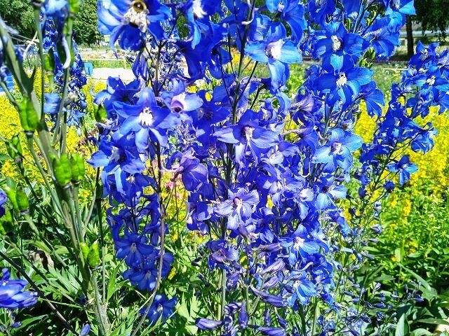 7 ������������ �������������, ������� ������� ��������� � ����� �������