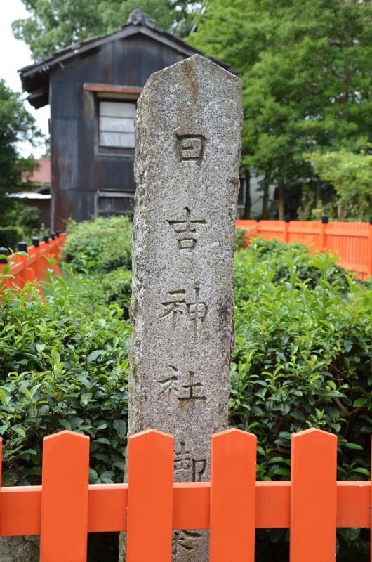 Чайный сад Хиёси и старейшая японская чайная — спокойное наблюдение за легендой и реальностью