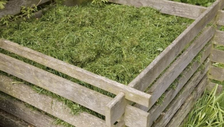 ��� �� ������� ����������� � �������: �� ��� �������� �������� ��� ������ �����