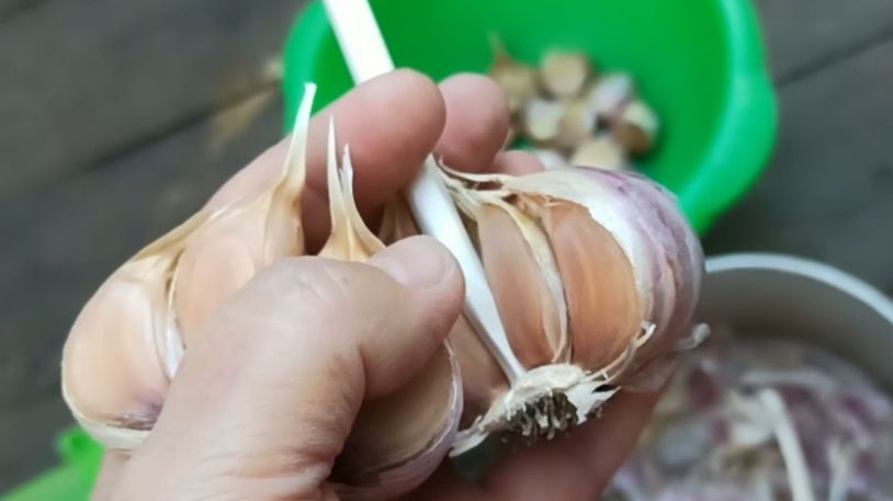 ������ ������� ����������� ������� �� ������� ������ ������ � �����