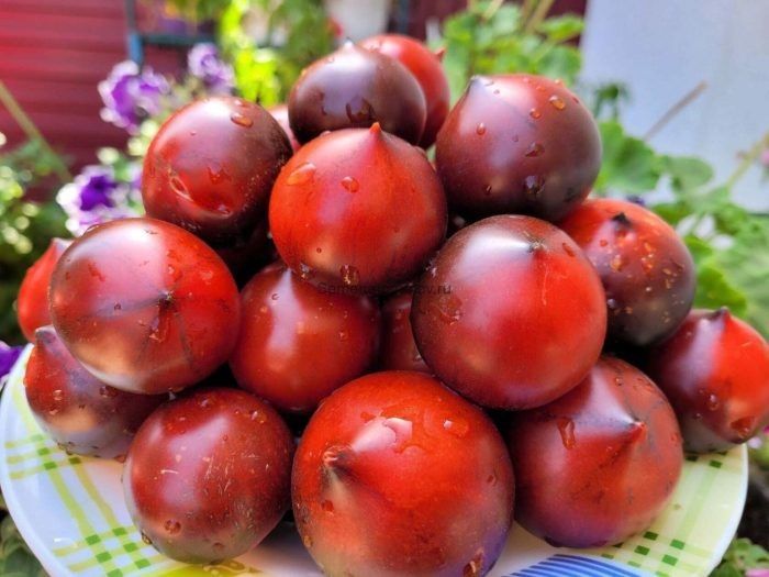 ����� ������ �������: ��������� ������ �� ����������� ���� � ���� �� ���