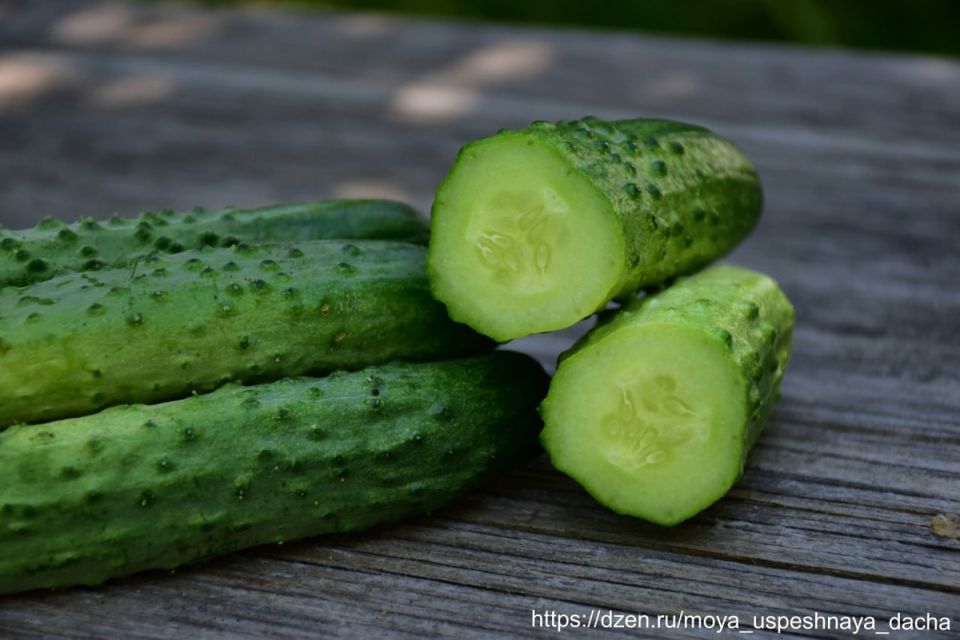 ���� �� �������� ��� �������: ������������� ���� ��� ������ � �������