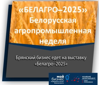 !           2025  !