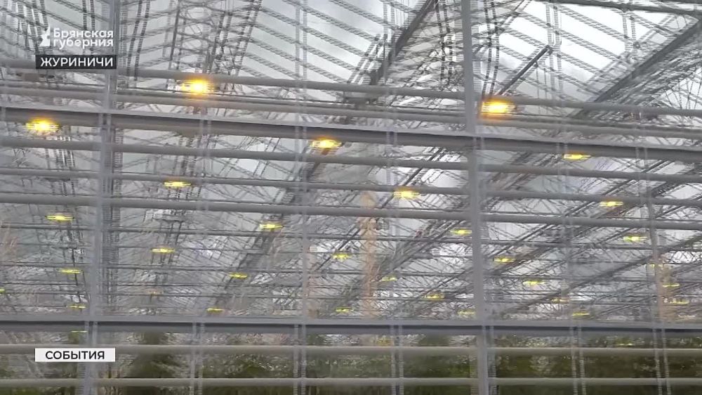 , 30 ,            