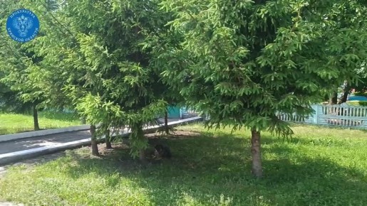 Жители ул. Ленина с. Жирятино обратились к заместителю прокурора области Сергею Голованчикову по вопросу обеспечения подъезда к детскому саду