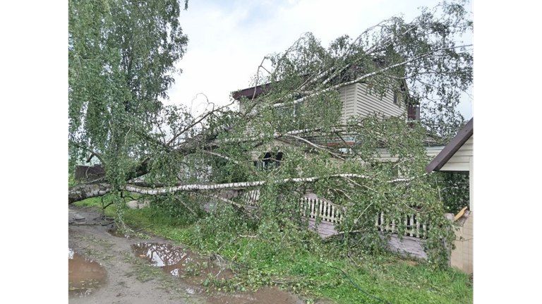В Бежицком районе Брянска дерево рухнуло на частный жилой дом