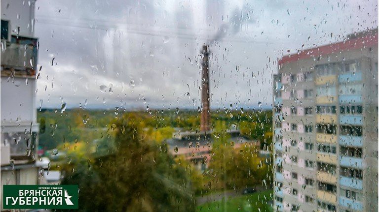 В Брянской области 15 июня сохранится дождливая погода