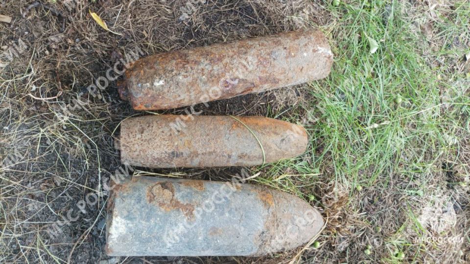 В Брянске обезврежены взрывоопасные предметы времён ВОВ