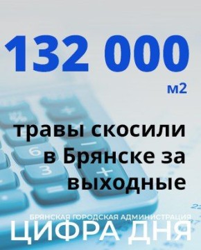 За выходные в Брянске скосили 132 тысячи квадратных метров травы