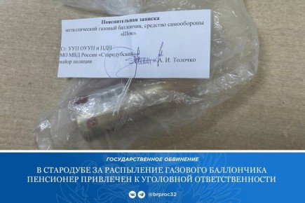 Прокуратура Стародубского района поддержала государственное обвинение по уголовному делу в отношении 71-летнего жителя Стародуба