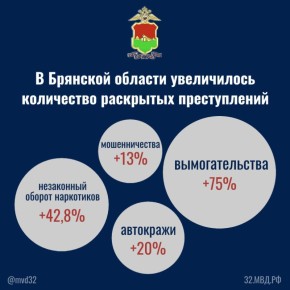 Состояние оперативной обстановки в Брянской области за 5 месяцев 2025 года
