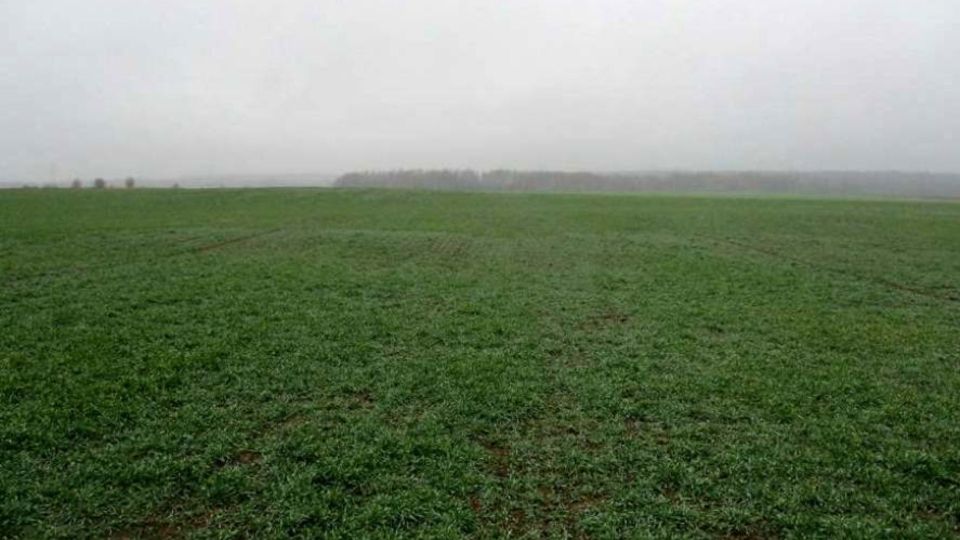В Карачевском районе Брянской области рекультивирован заросший земельный участок