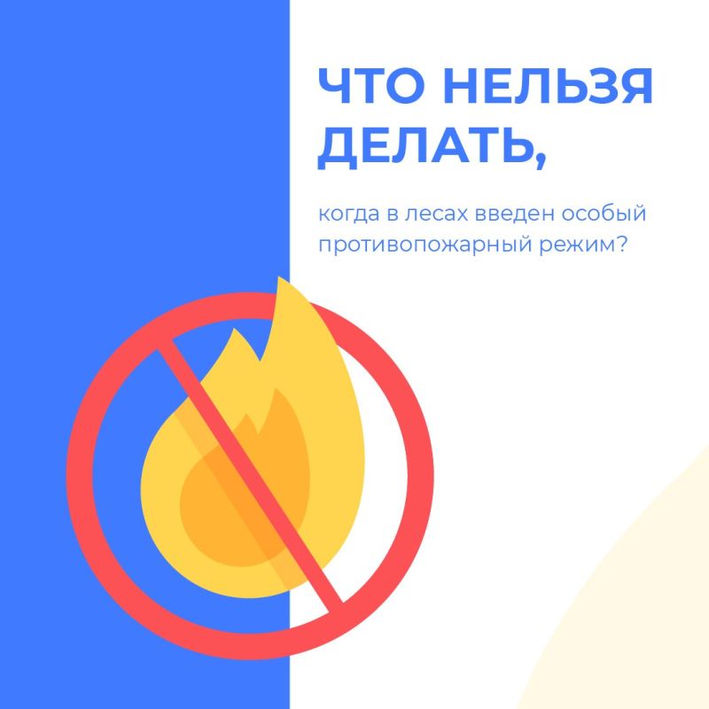 С 1 июля в лесах Брянской области введен особый противопожарный режим