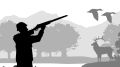 Открытие охотничьего сезона в Брянской области: объявлены сроки и лимиты добычи