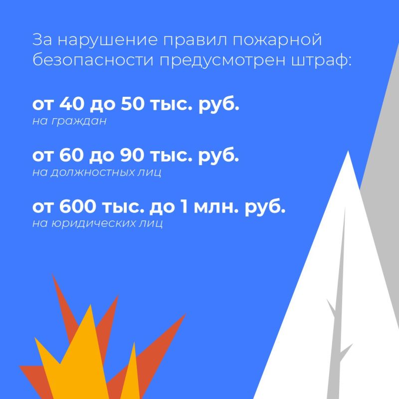 С 1 июля по 1 августа в брянских лесах действует особый противопожарный режим
